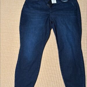 Judy Blue Skinny Jeans in Classic Blue